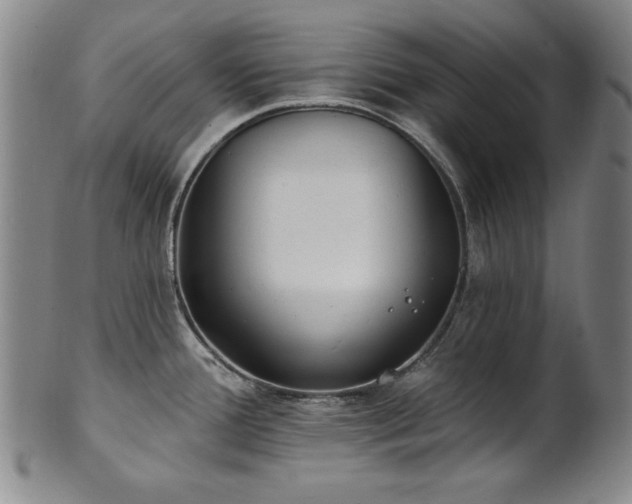 X0000101701388200807101526