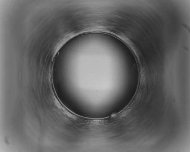 X0000101701390200807101526