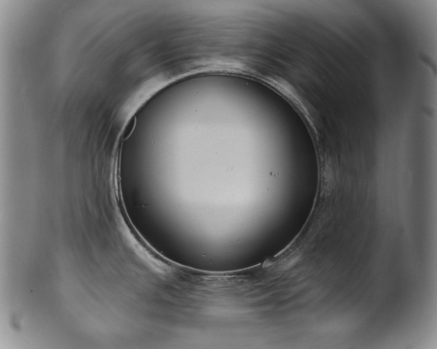 X0000101701391200807101526