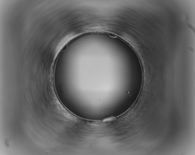 X0000101701392200807101526