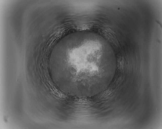 X0000101701393200807101526