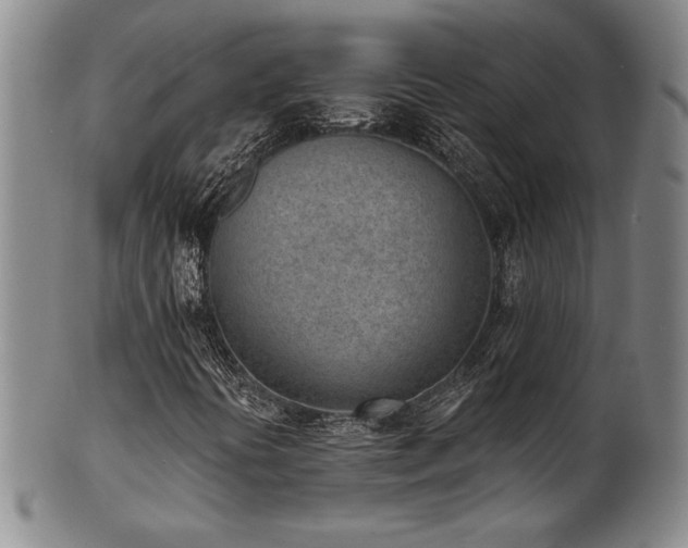 X0000101701394200807101526