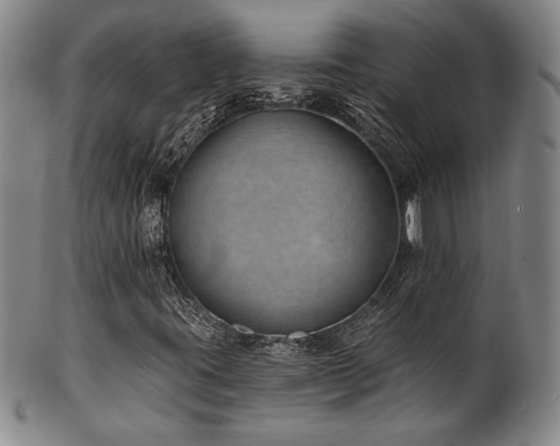 X0000101701395200807101526