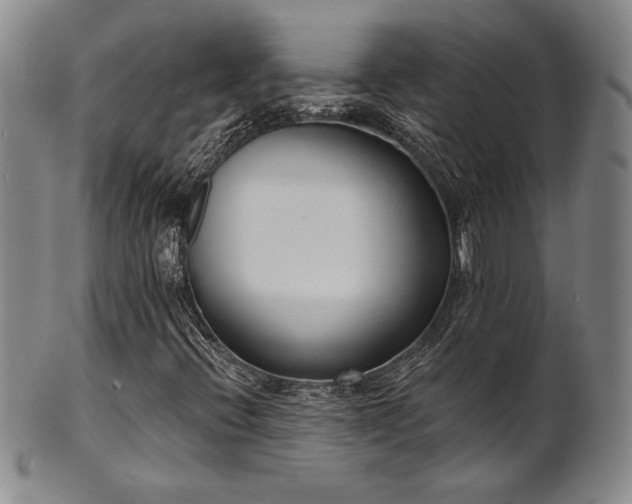 X0000101701396200807101526