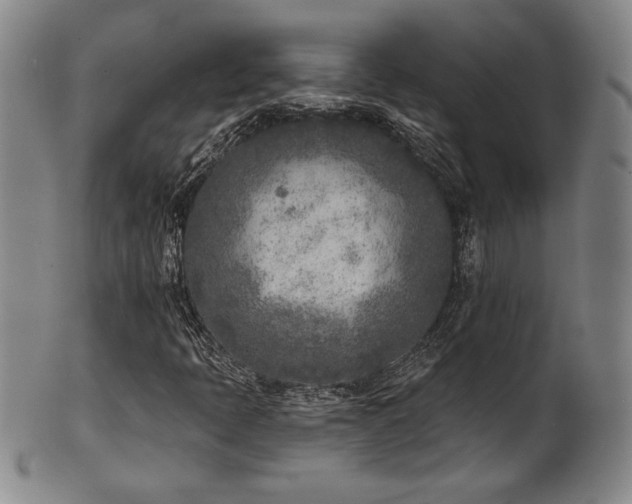 X0000101701397200807101526