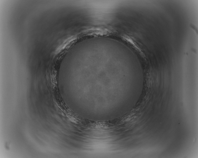 X0000101701399200807101526