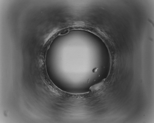 X0000101701400200807101526