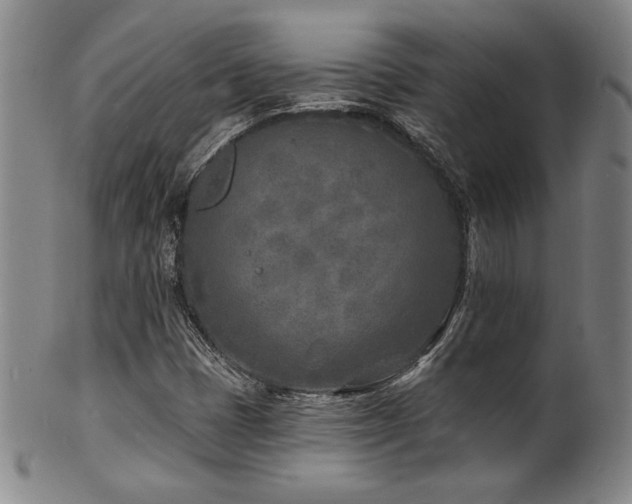 X0000101701401200807101526