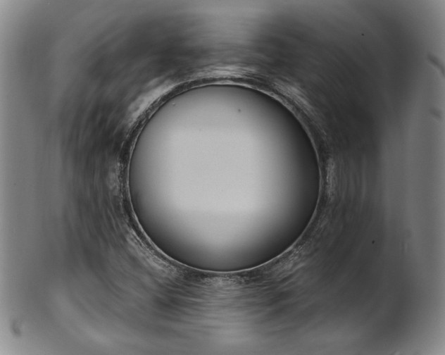 X0000101701404200807101526
