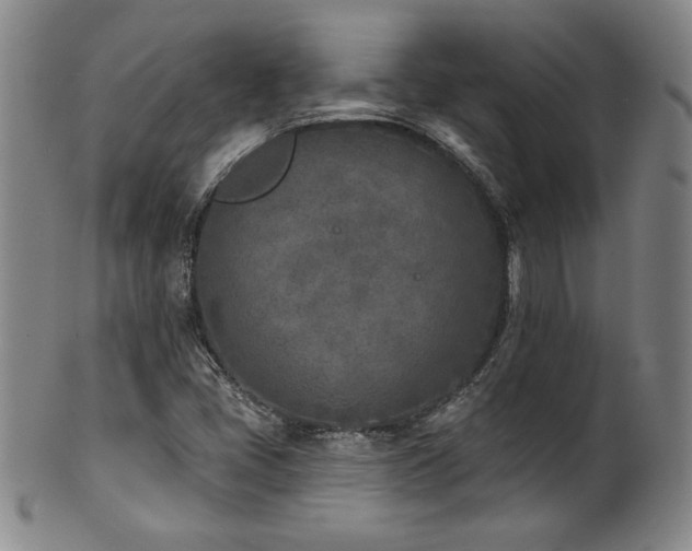 X0000101701405200807101526