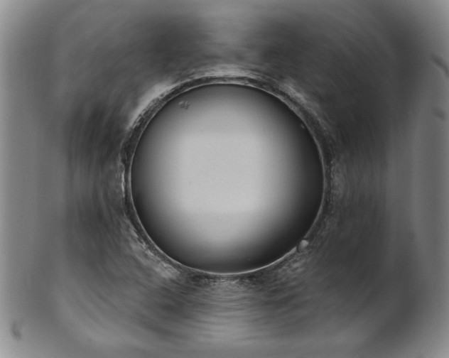 X0000101701408200807101526