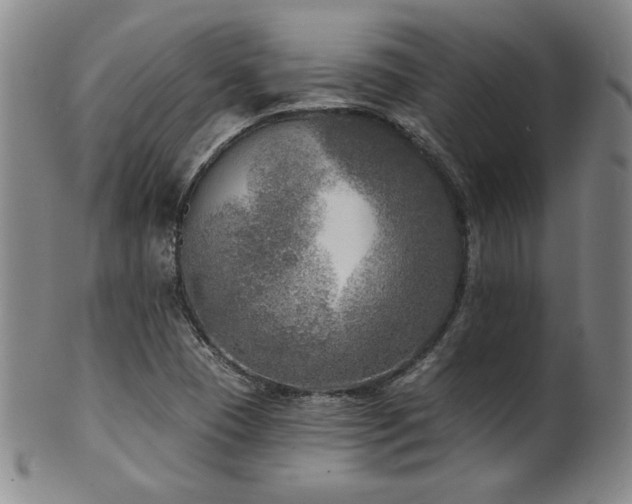 X0000101701409200807101526