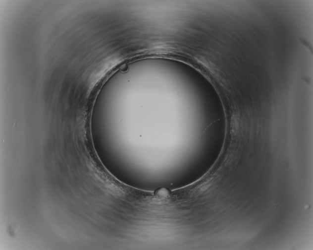 X0000101701410200807101526