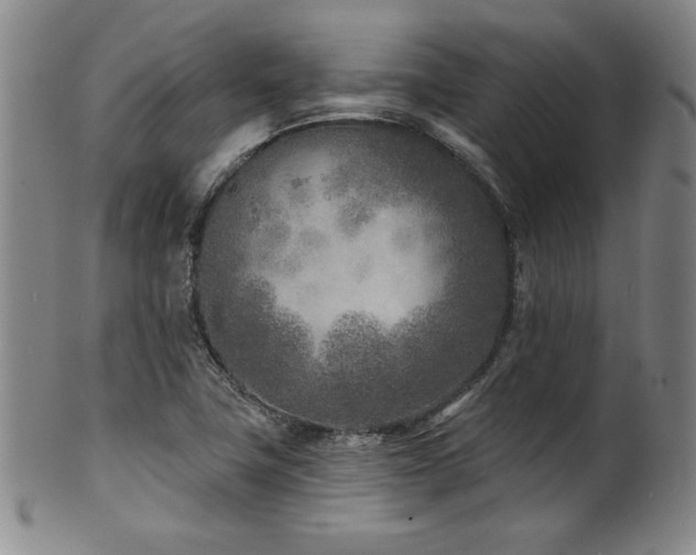 X0000101701411200807101526