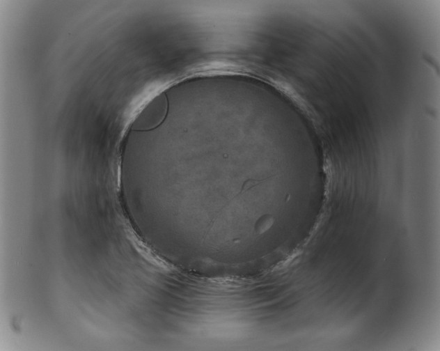 X0000101701413200807101526