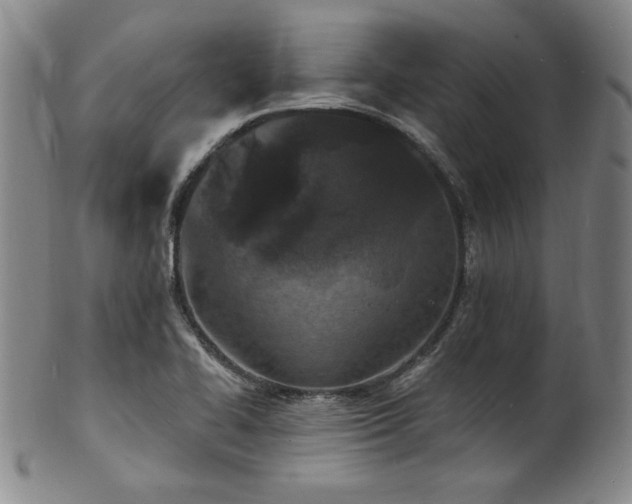 X0000101701414200807101526