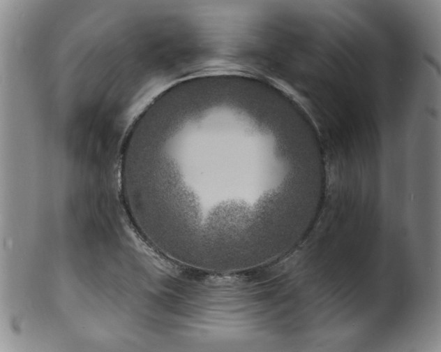 X0000101701415200807101526