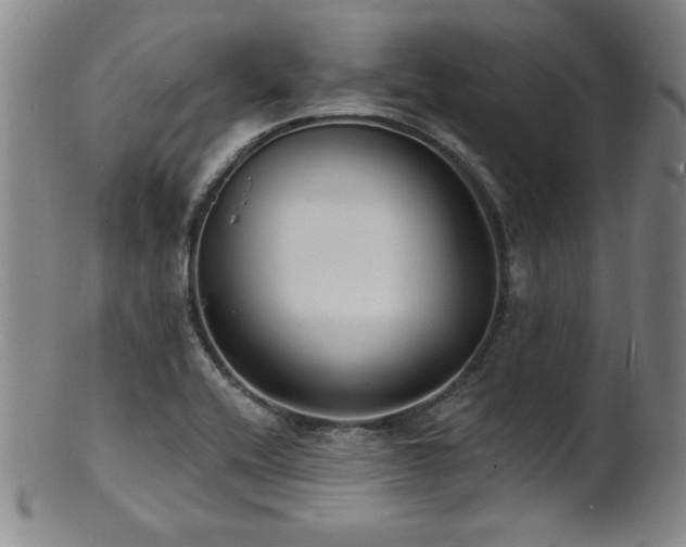 X0000101701416200807101526