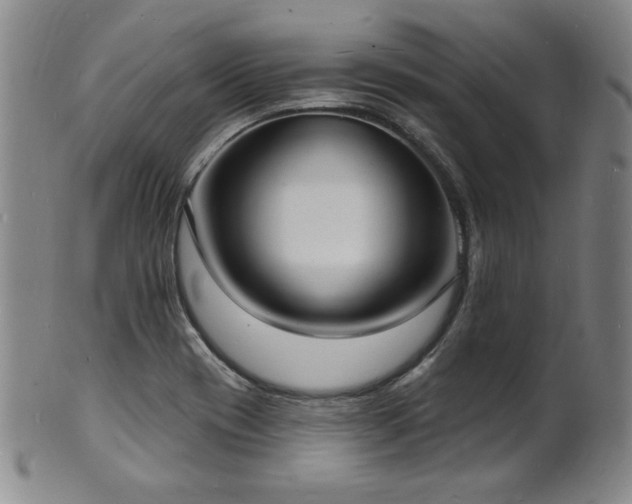 X0000101701417200807101526