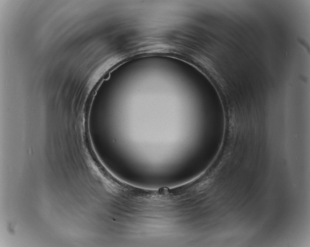 X0000101701418200807101526