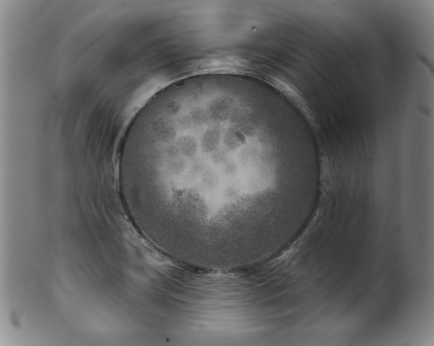 X0000101701419200807101526