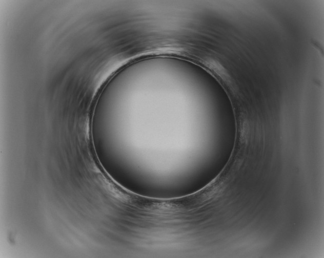 X0000101701420200807101526