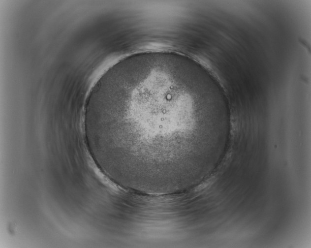 X0000101701421200807101526