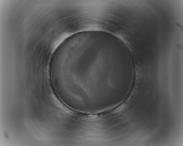 X0000101701422200807101526