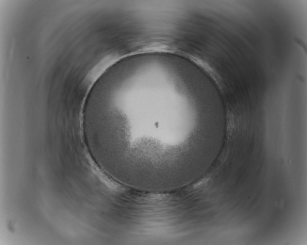 X0000101701423200807101526