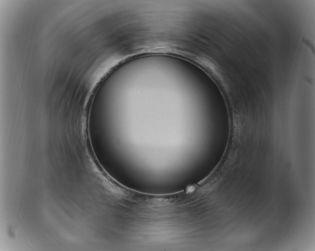 X0000101701424200807101526