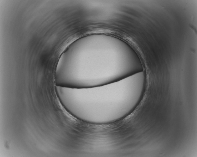 X0000101701425200807101526