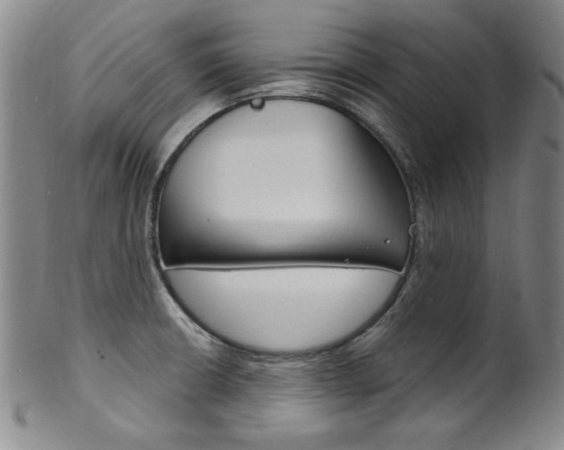 X0000101701426200807101526