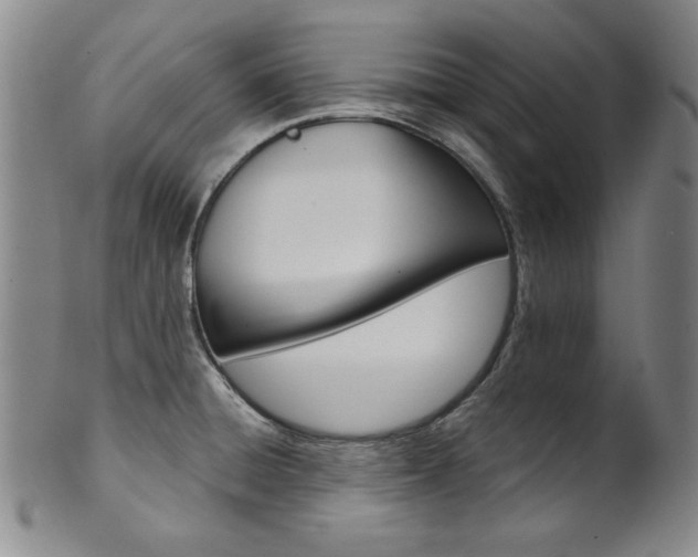X0000101701428200807101526