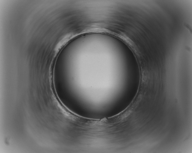 X0000101701430200807101526