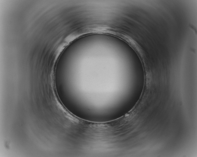 X0000101701432200807101526