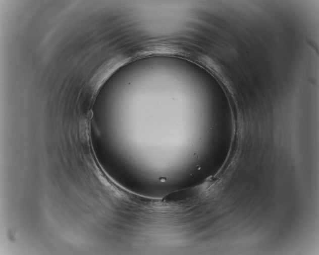 X0000101701433200807101526