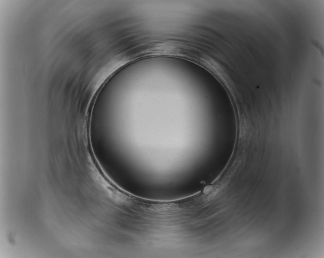 X0000101701434200807101526