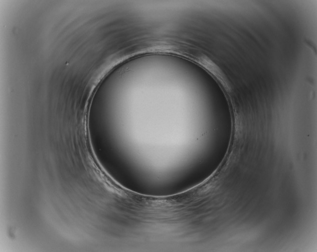 X0000101701436200807101526