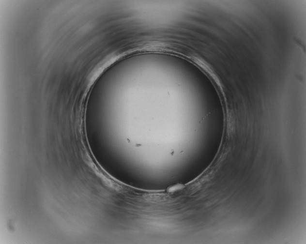X0000101701437200807101526