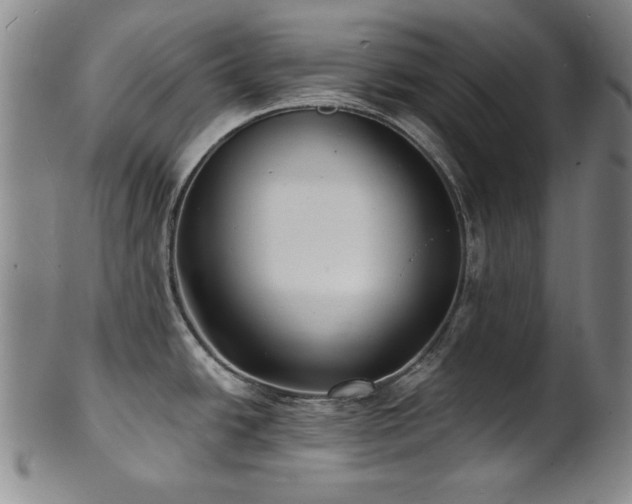 X0000101701438200807101526