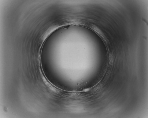 X0000101701439200807101526
