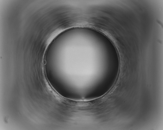 X0000101701440200807101526