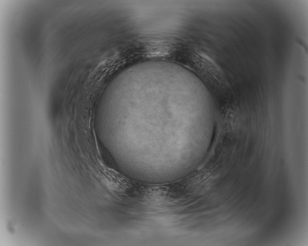 X0000101701441200807101526