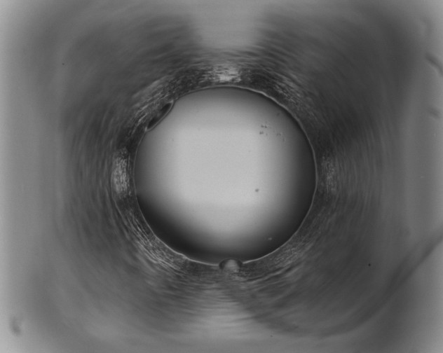 X0000101701442200807101526