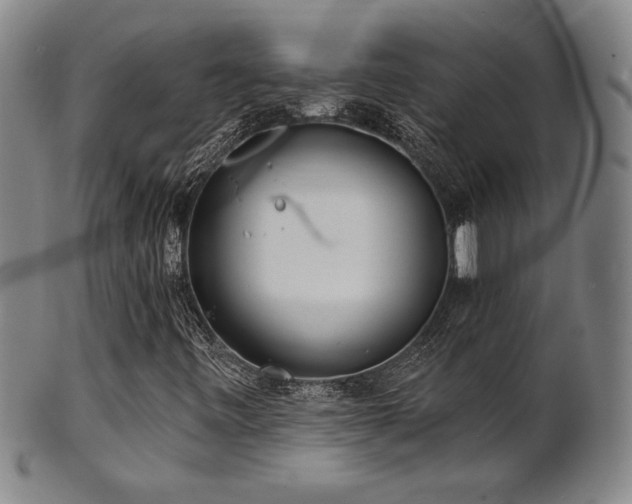 X0000101701443200807101526
