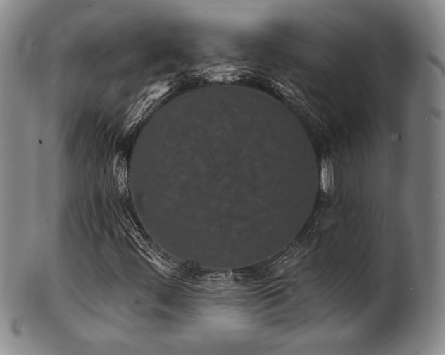 X0000101701444200807101526
