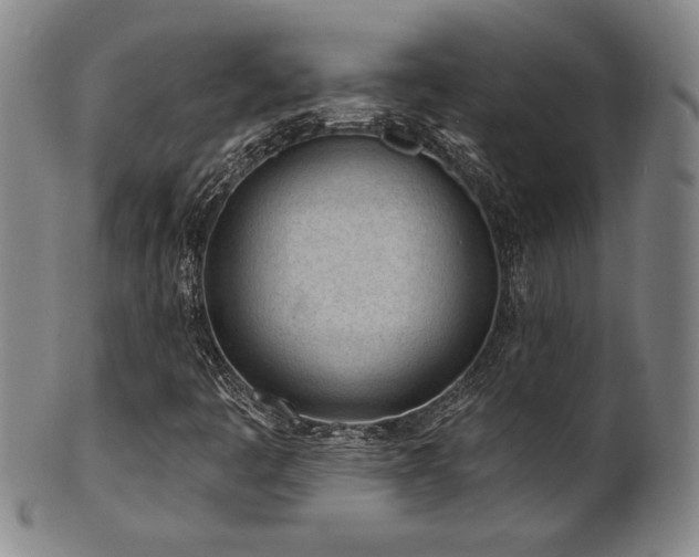 X0000101701445200807101526