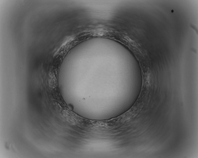 X0000101701446200807101526