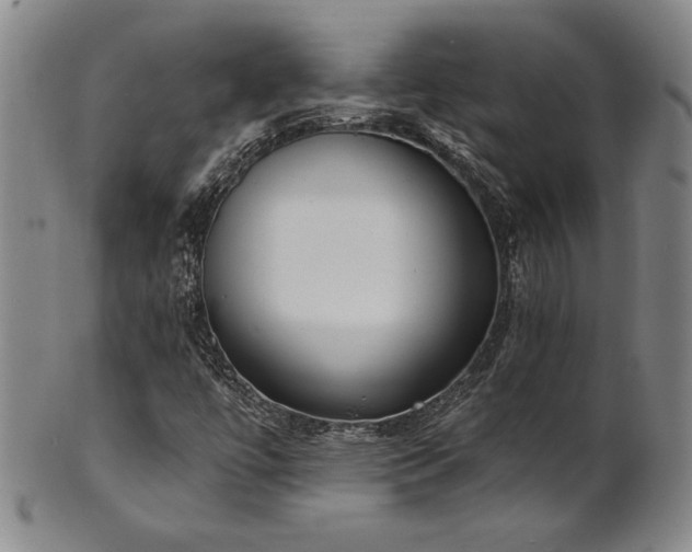 X0000101701447200807101526