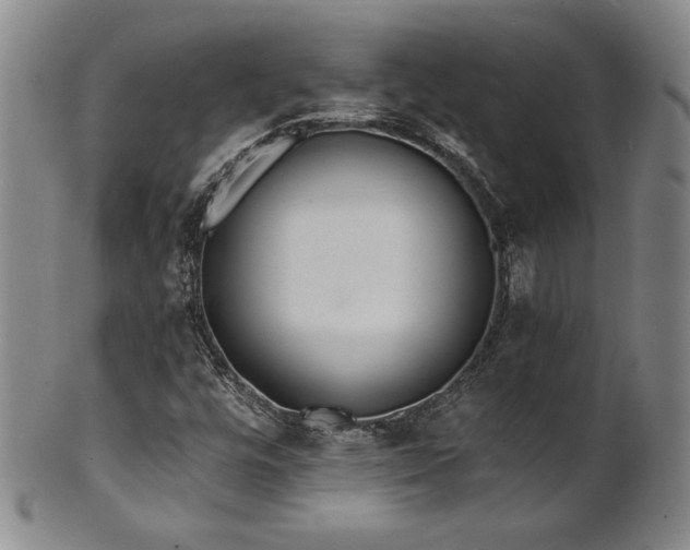 X0000101701448200807101526